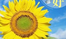 初三，你好_1500字