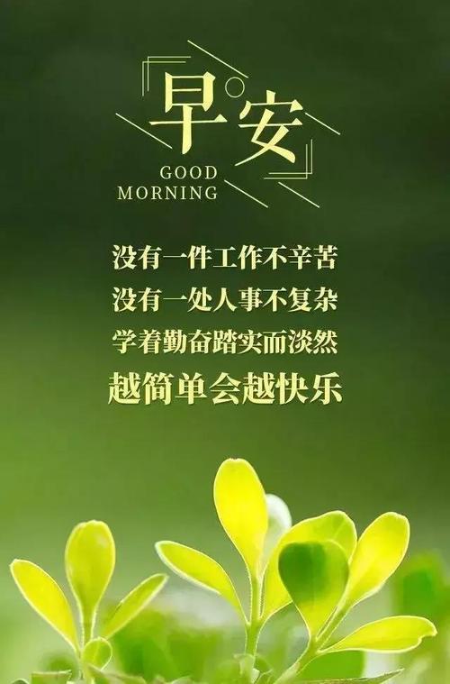无论是含羞草，还是蒲公英，它们都会深入地反映的积极能量，但他们派出了光明，但我想触摸，但我没有敢于触摸，但我去了时间。不寻找生活中的积极能量。