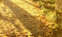 那抹阳光好温暖_1000字