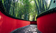 时间就在这里_750字