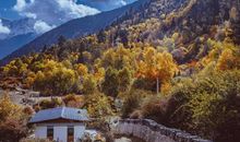 不该错过的风景_800字