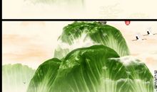 舌尖上的家_600字