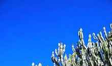 芬芳的时光_900字