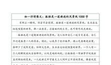 留一份回忆给你_1000字