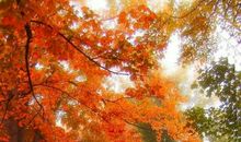 我也是一束阳光_700字