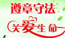 遵守交通安全，让我们远离伤痛_800字
