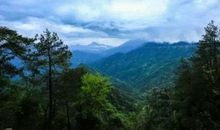 交通≠原始森林_550字