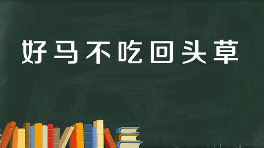 setsetting不是漂亮的_1000字
