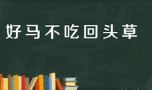挫折并非不美丽_1000字