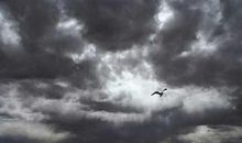 雨中的蓝天_650字