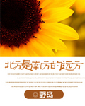 北方是南方的远方_2000字