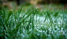 静静的等待_1500字