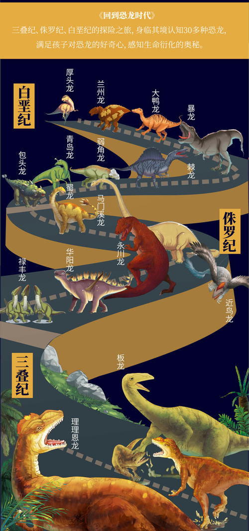 校园镰刀 - 神奇的图书馆_400字