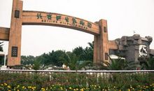 游大兴野生动物园_550字