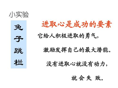 成功的元素_500字