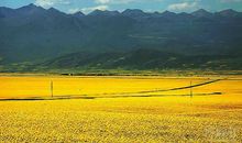 远去的声音_750字