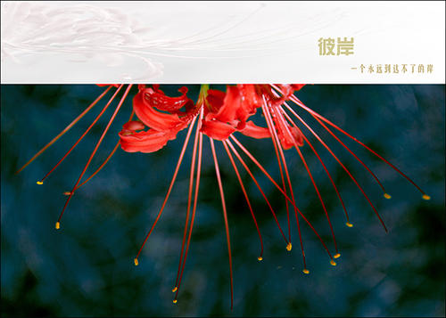 无法到达另一边_700字