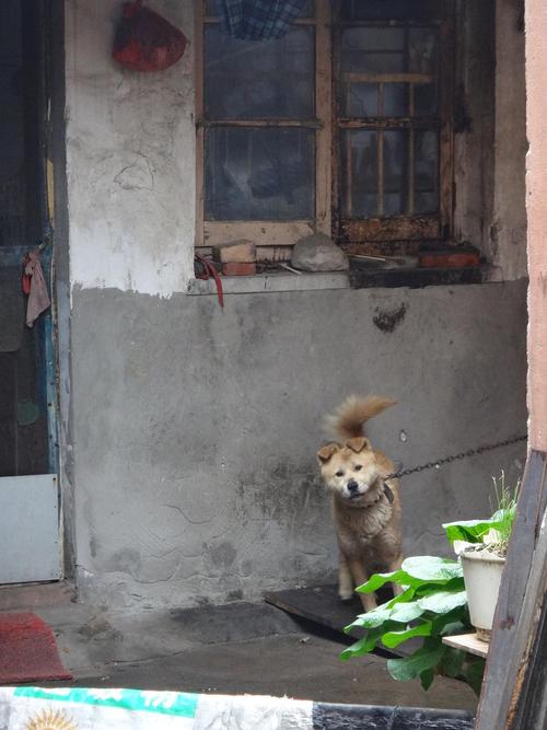 这对这场清明节真的很伤心。