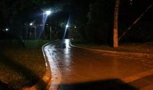 黑夜雨下的精灵_700字