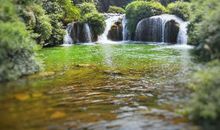 夏天的尾巴_1200字