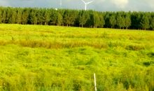 最美的时光_1500字