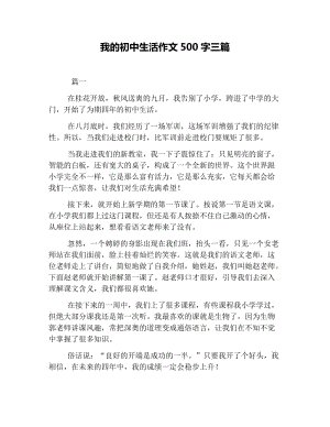 我的初中生活_650字