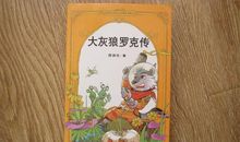 我眼中的大灰狼罗克_500字