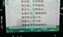 百日中考誓词_250字