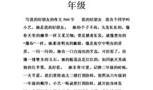 我班的化学“宝贝”！_500字