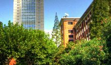 永驻的光辉_600字