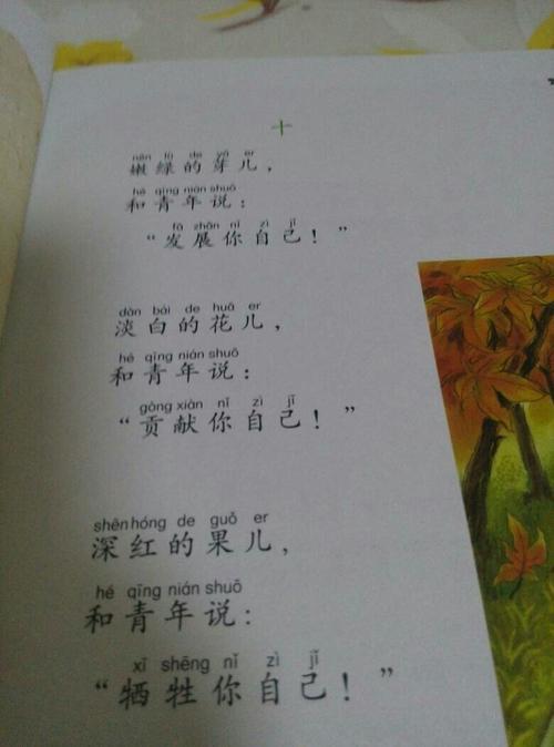 这就像明亮的眼睛
