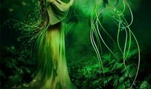 阳光的精灵_650字