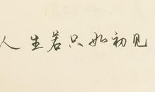 初见_1200字