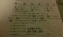 操千曲而后晓声_1000字