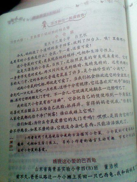 我和它在一起，海洋_250字
