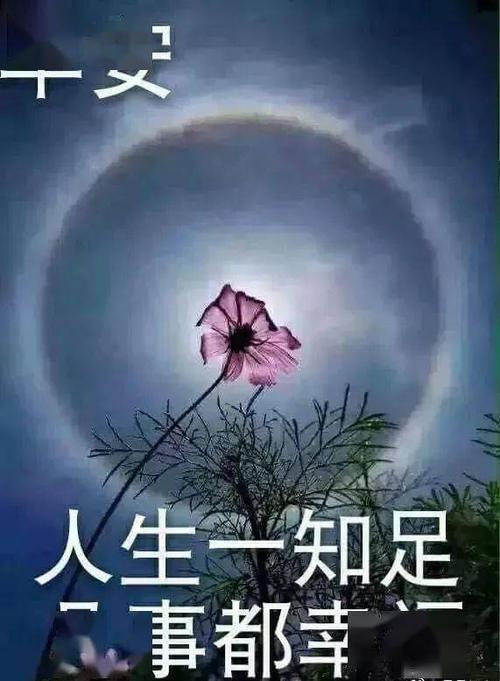 自然自然Nummary：自然是一个真正的法律_700字