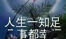 自然名言：自然是真正的法律_700字