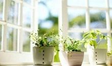 《推开窗寻找阳光》_900字