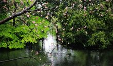 春雨中行走_800字