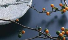 心底有一盏母爱的明灯_550字