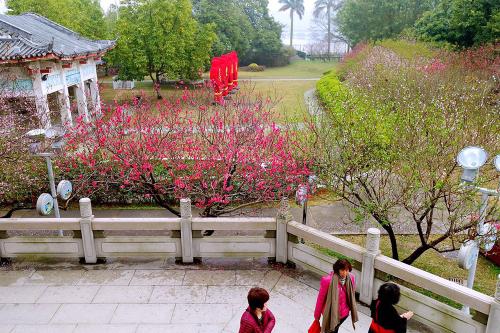 春雨_400字