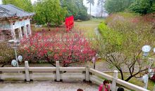 春天蒙蒙细雨_400字