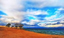 投入春雨怀抱_600字