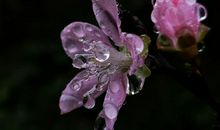 润如酥的春雨_600字