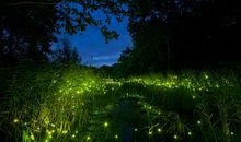 选择，回忆着，遗忘_200字