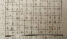 我懂了_800字