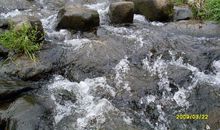 清澈的溪水不见了_600字