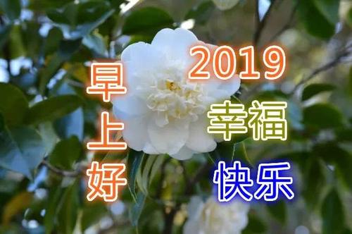一个鼓舞的笑容_700字