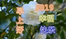 一个鼓励的微笑_700字