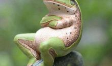 自然名言：物竞天择，适者生存_700字